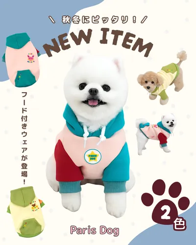 ペット用品の新商品告知の投稿クリエイティブ