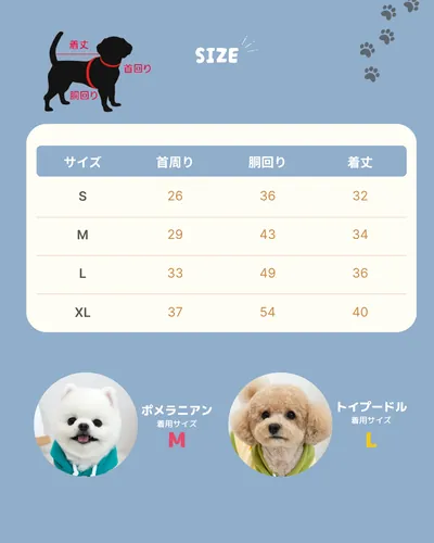 ペット用品の新商品告知の投稿クリエイティブ