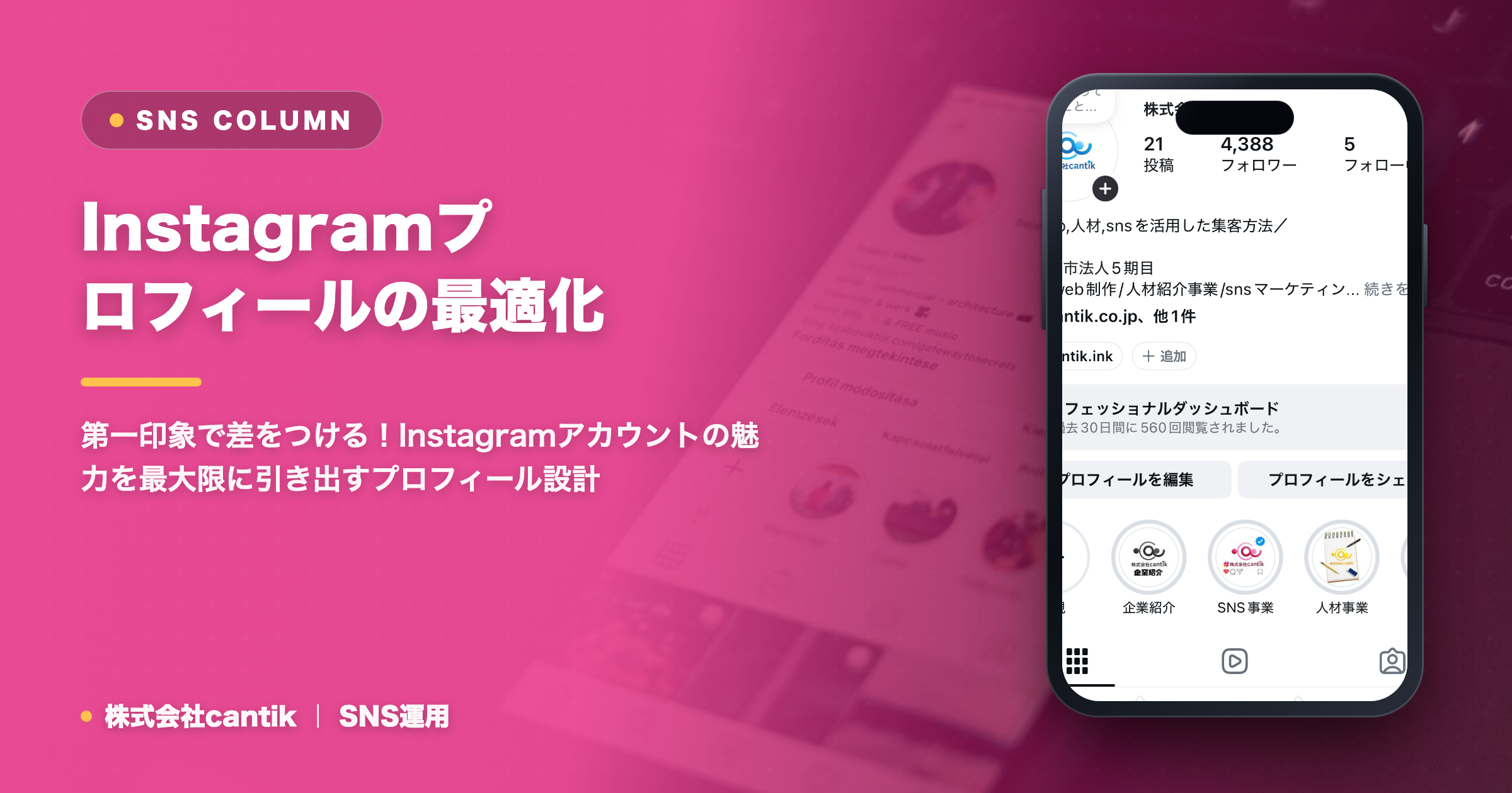 Instagramプロフィールの最適化でファン獲得！中小企業が知るべき設定と見せ方