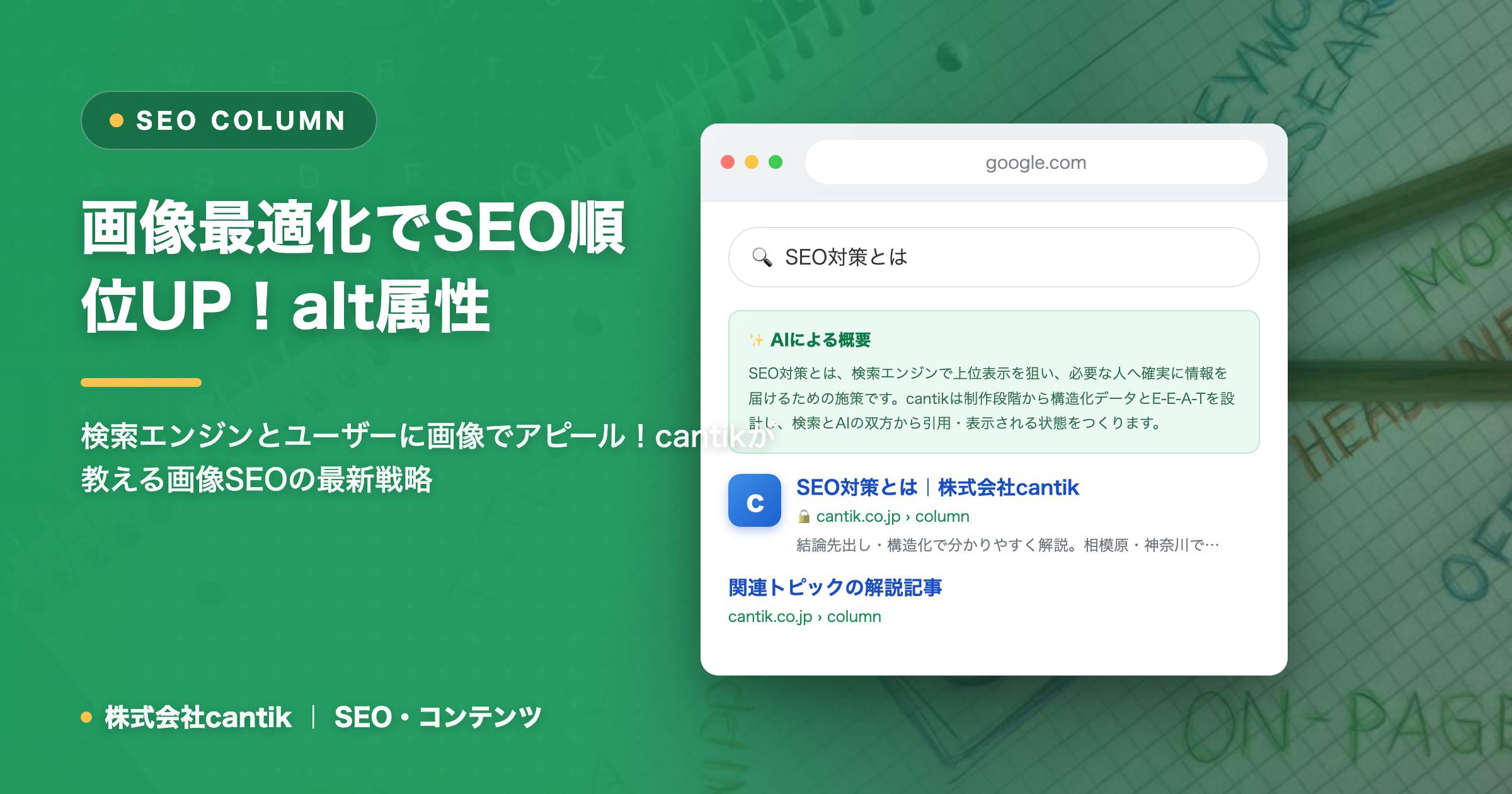 【2024年最新】SEOにおける「画像最適化」の重要性！alt属性・ファイル名・WebP圧縮で検索流入を最大化